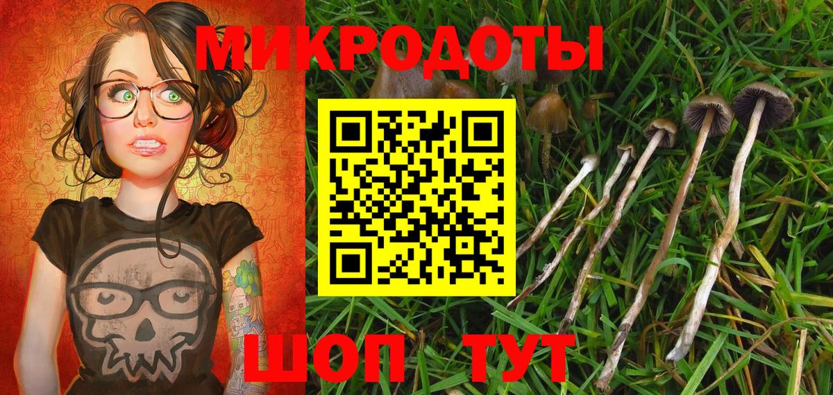 Псилоцибиновые грибы MAGIC MUSHROOMS  даркнет сайт  Гурьевск  Вход с VPN 